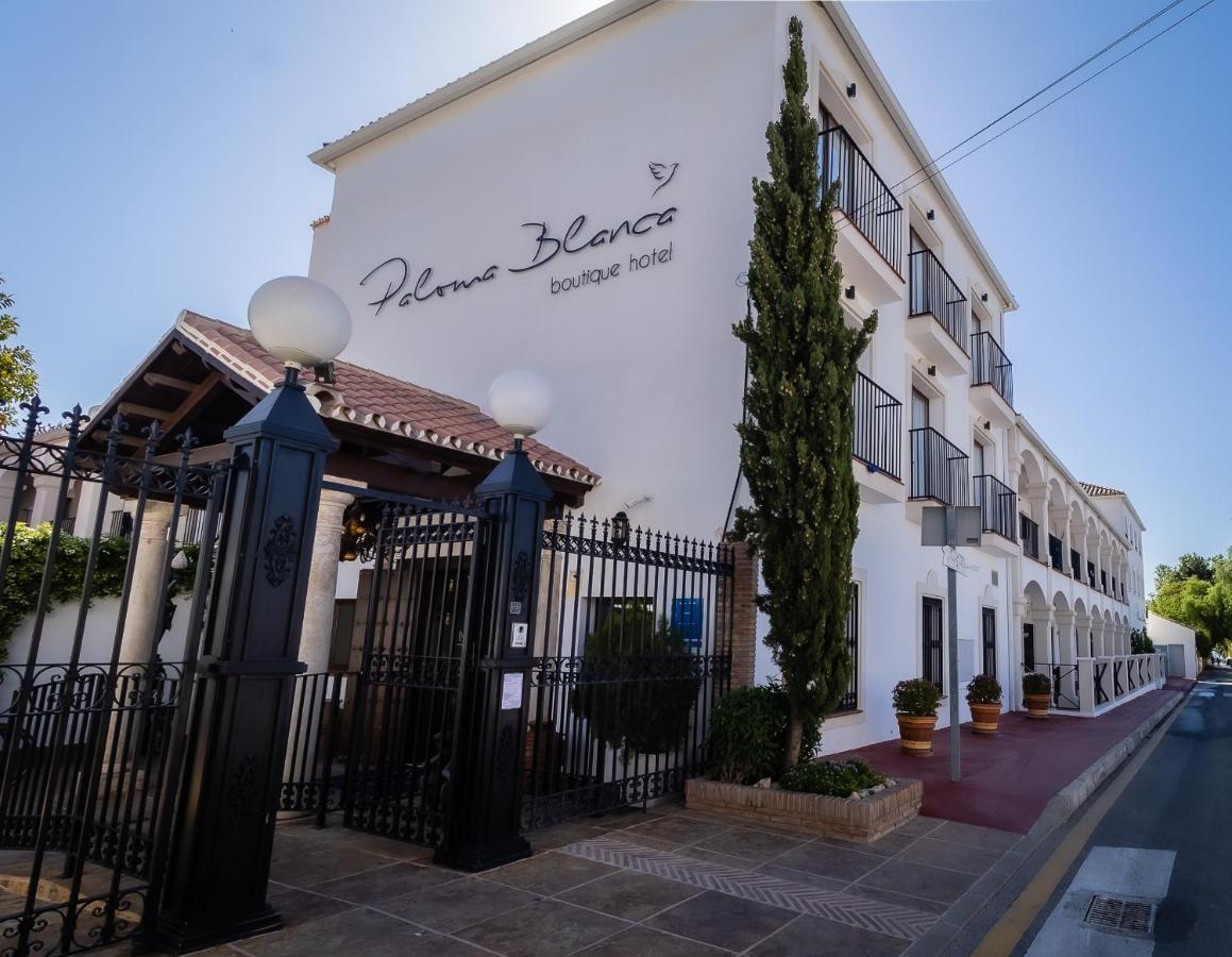 Paloma Blanca Boutique (adults Only) 3*